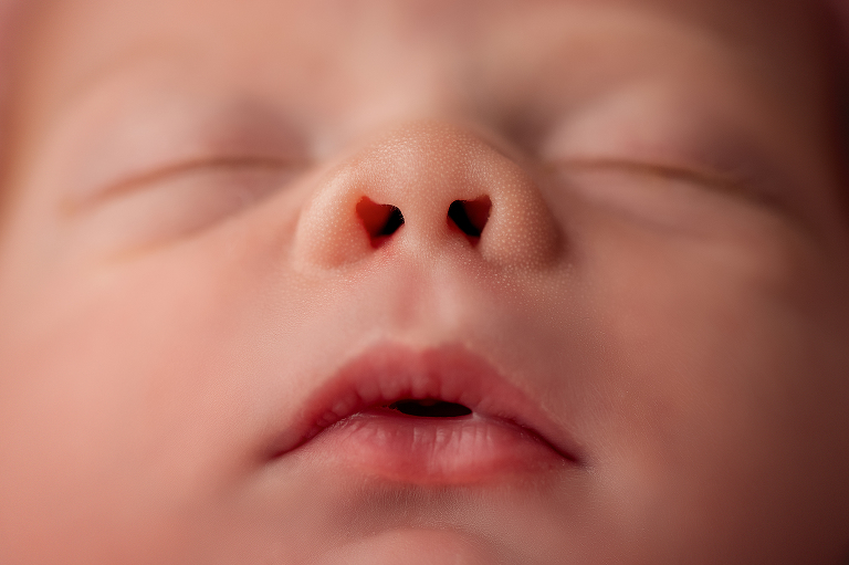 Photographe bébé Belgique