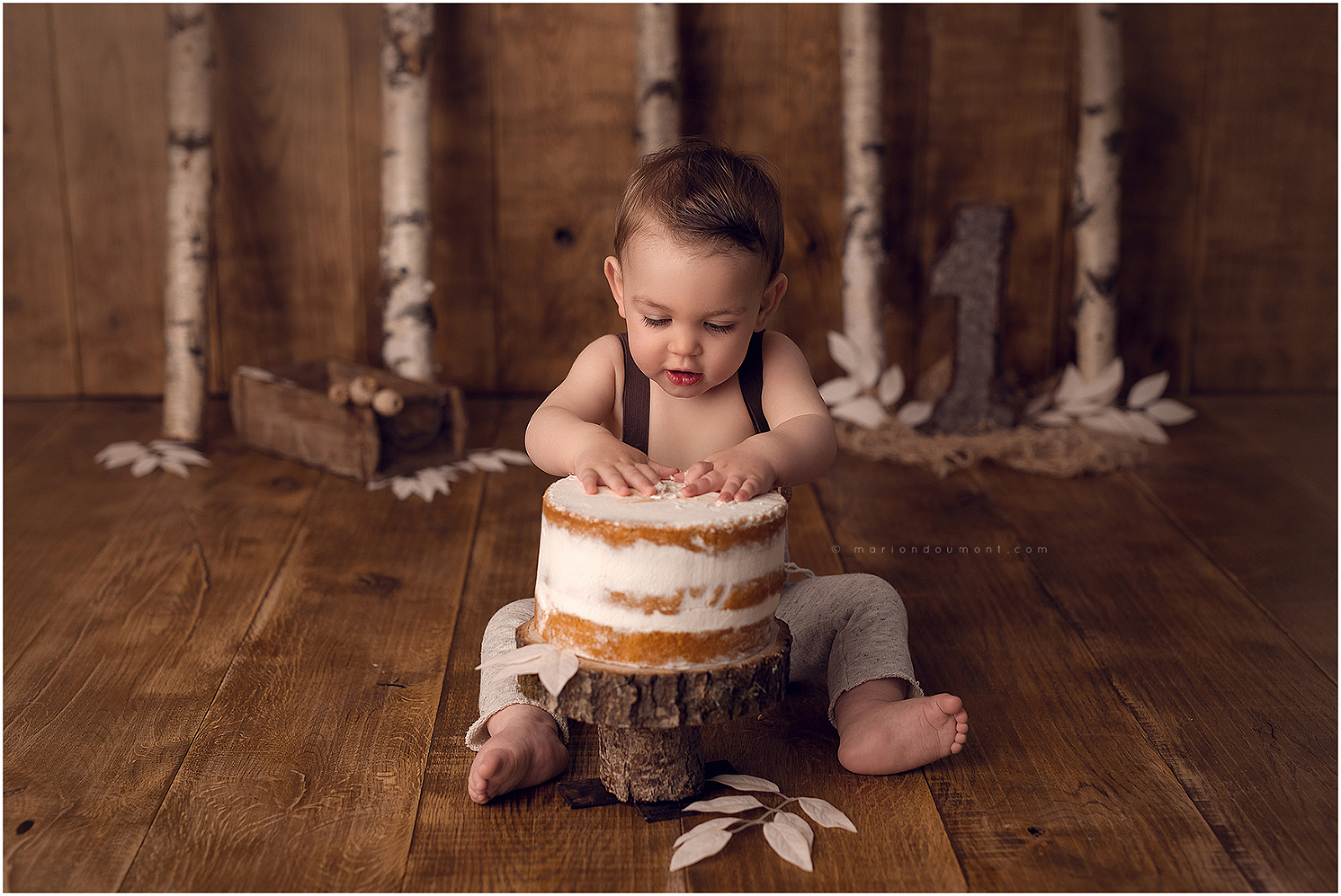 smash the cake photographe