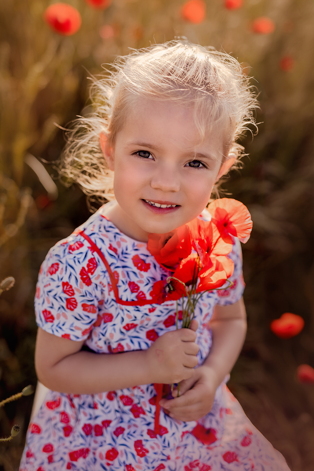 seance coquelicot belgique